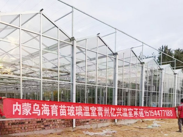 內蒙烏海育苗玻璃溫室